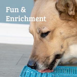 Fun & Enrichment